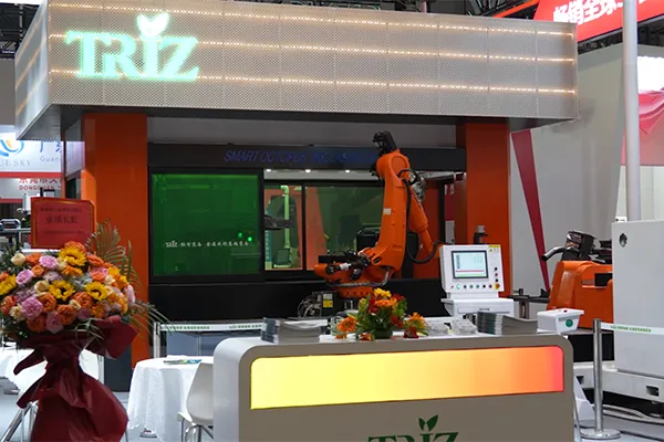 16-Achsen Doppelstation 3D Laserschneidemaschine